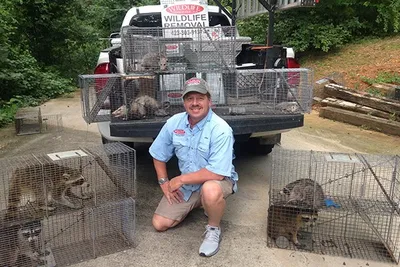 Wildlife Removal East TN