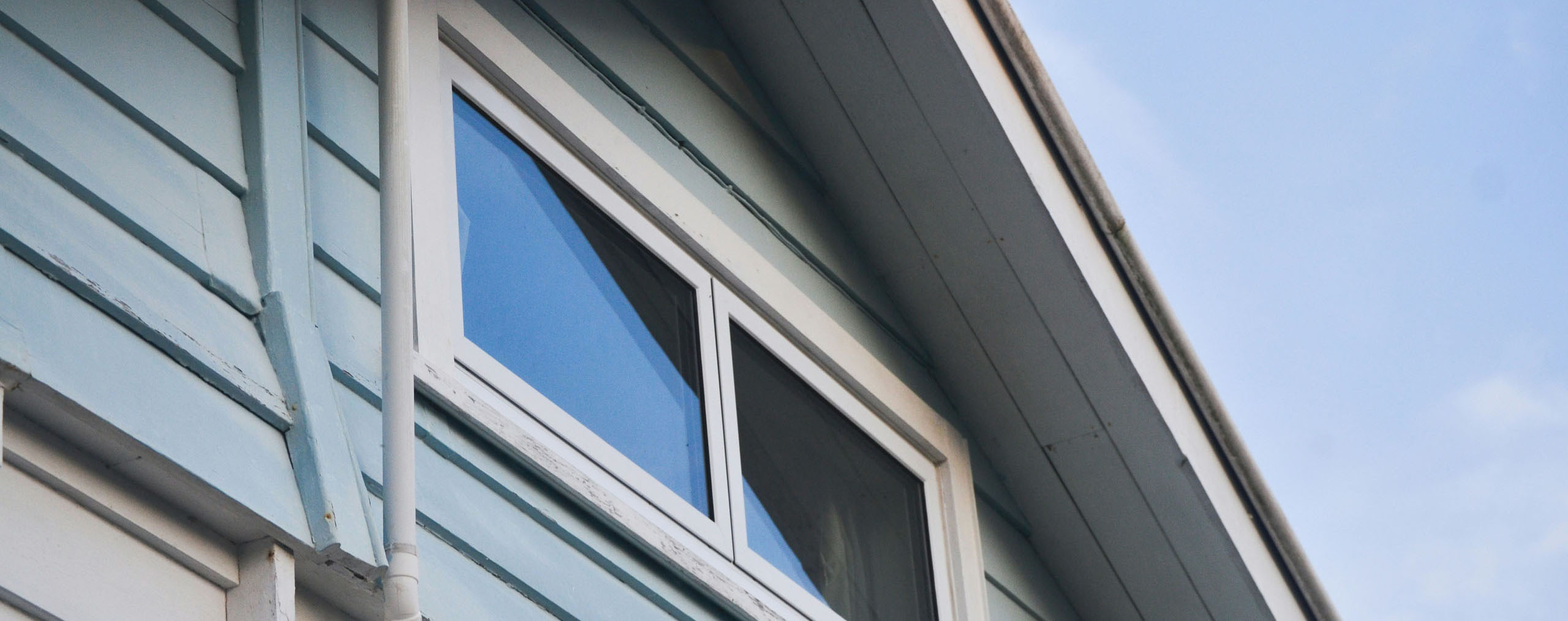 Wildlife Exclusion In Cleveland TN